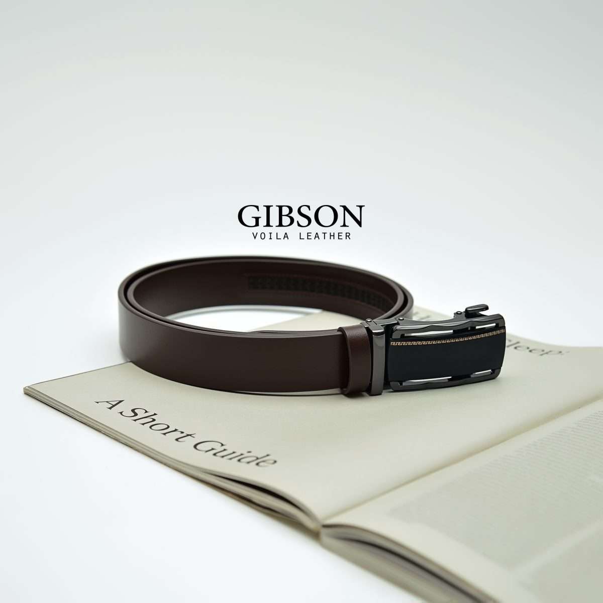 Gibson IG 1 Gibson IG 1